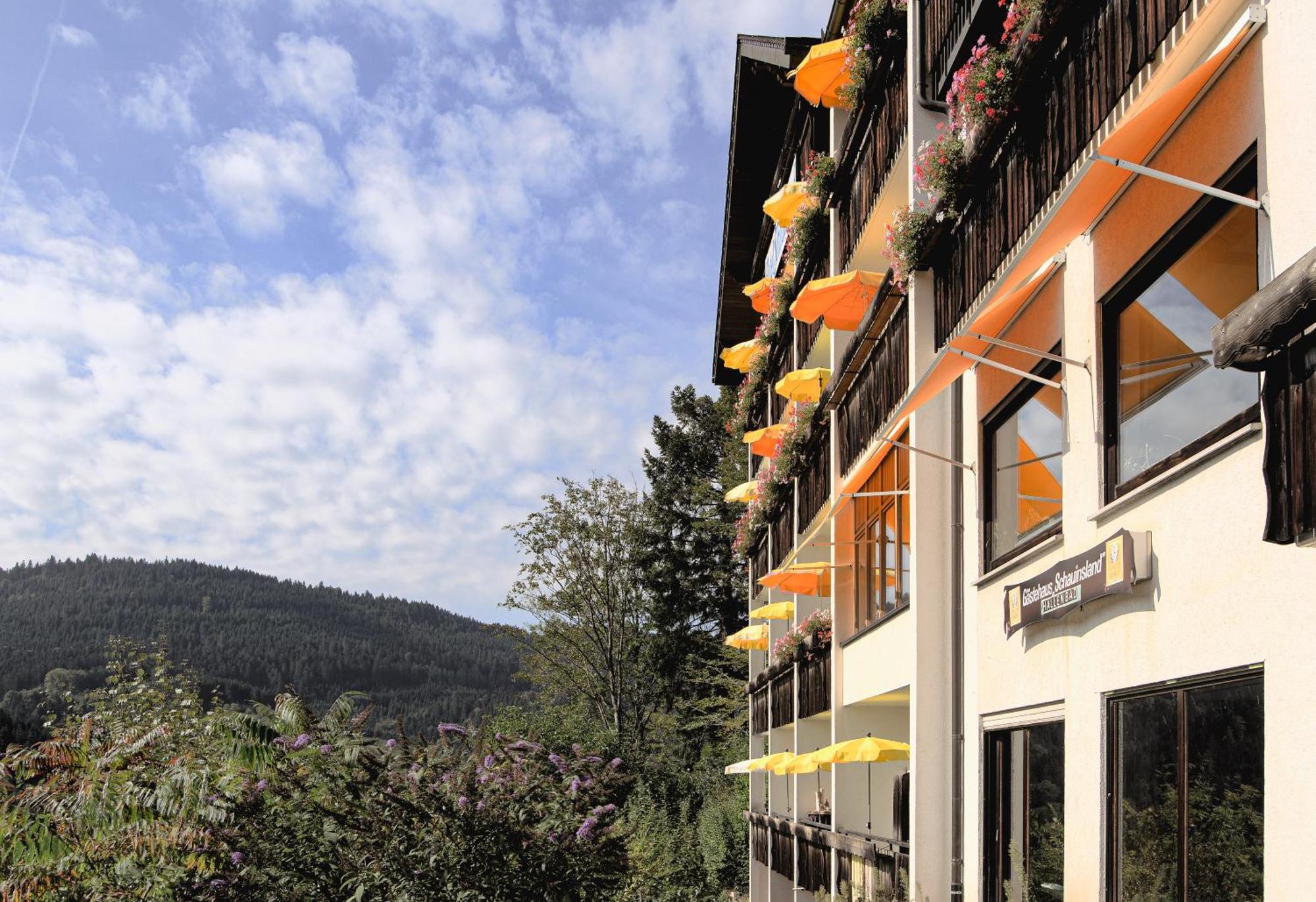 באד פטרסטאל-גריסבאך Hotel Schauinsland מראה חיצוני תמונה